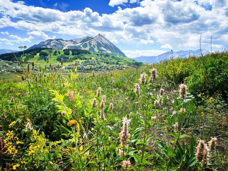 Crested Butte Mountain Resort