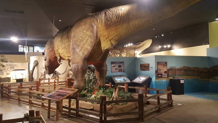 Dinosaur Journey Museum