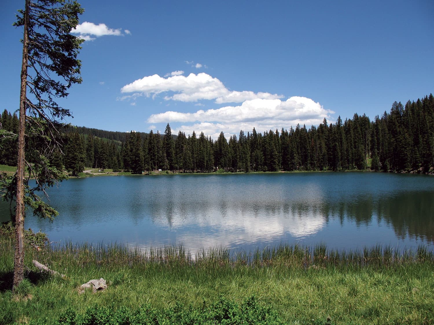 Grand Mesa