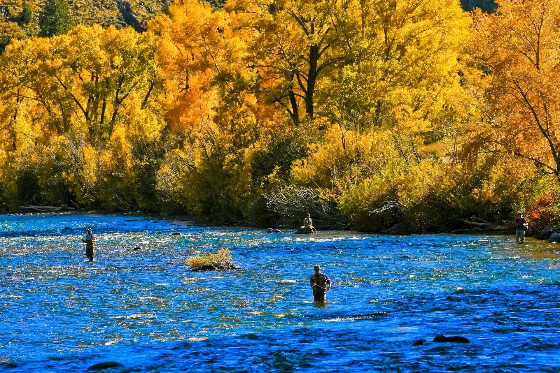 Gunnison