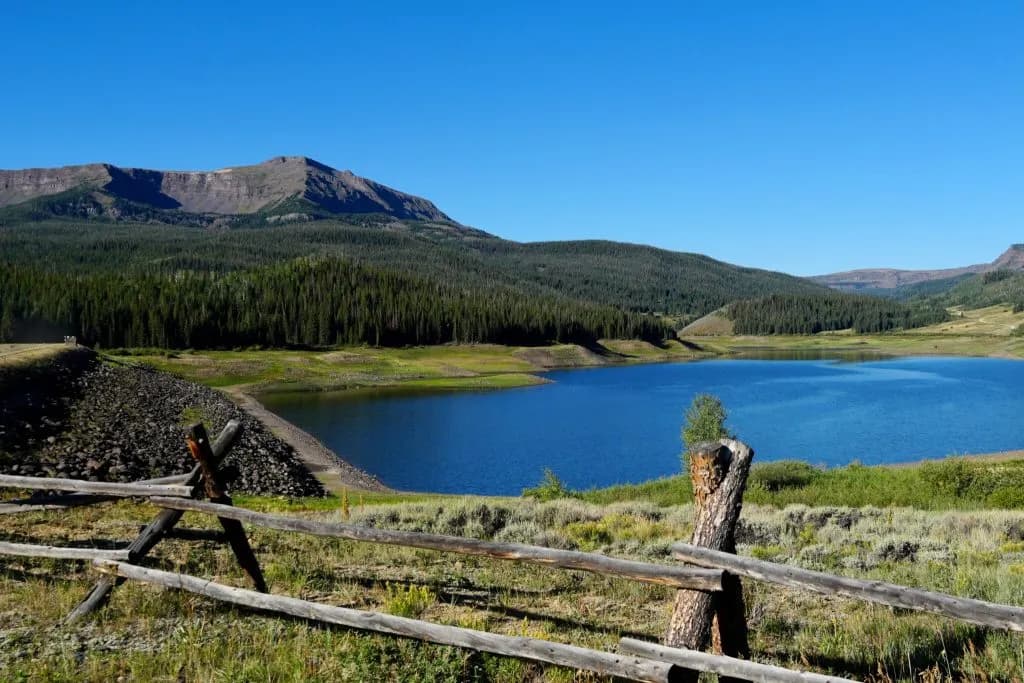 Stillwater Ditch Crew Thins Forest to Protect Yampa Ranch Water