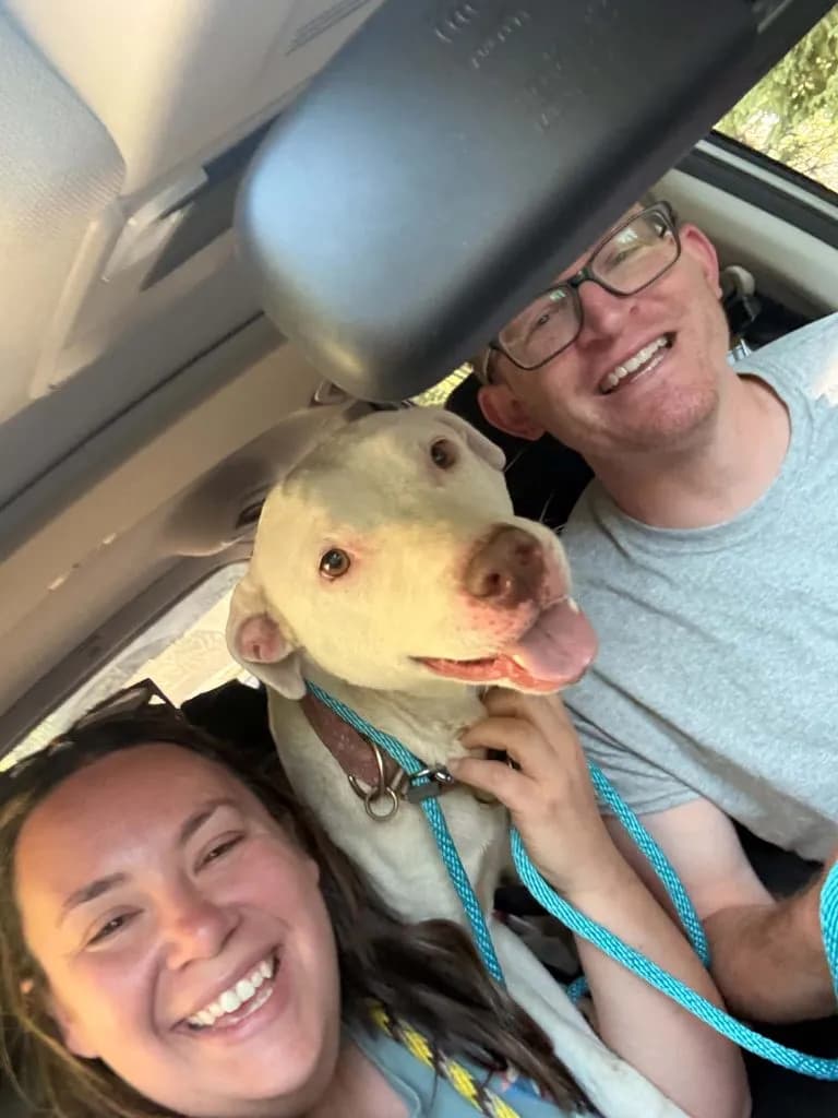 New Jersey Couple Tracks Lost Dog from Steamboat to Toponas
