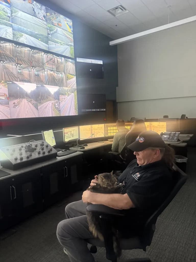 Denver Cat Survives 70 mph Jump from Pickup Truck into Eisenhower Tunnel