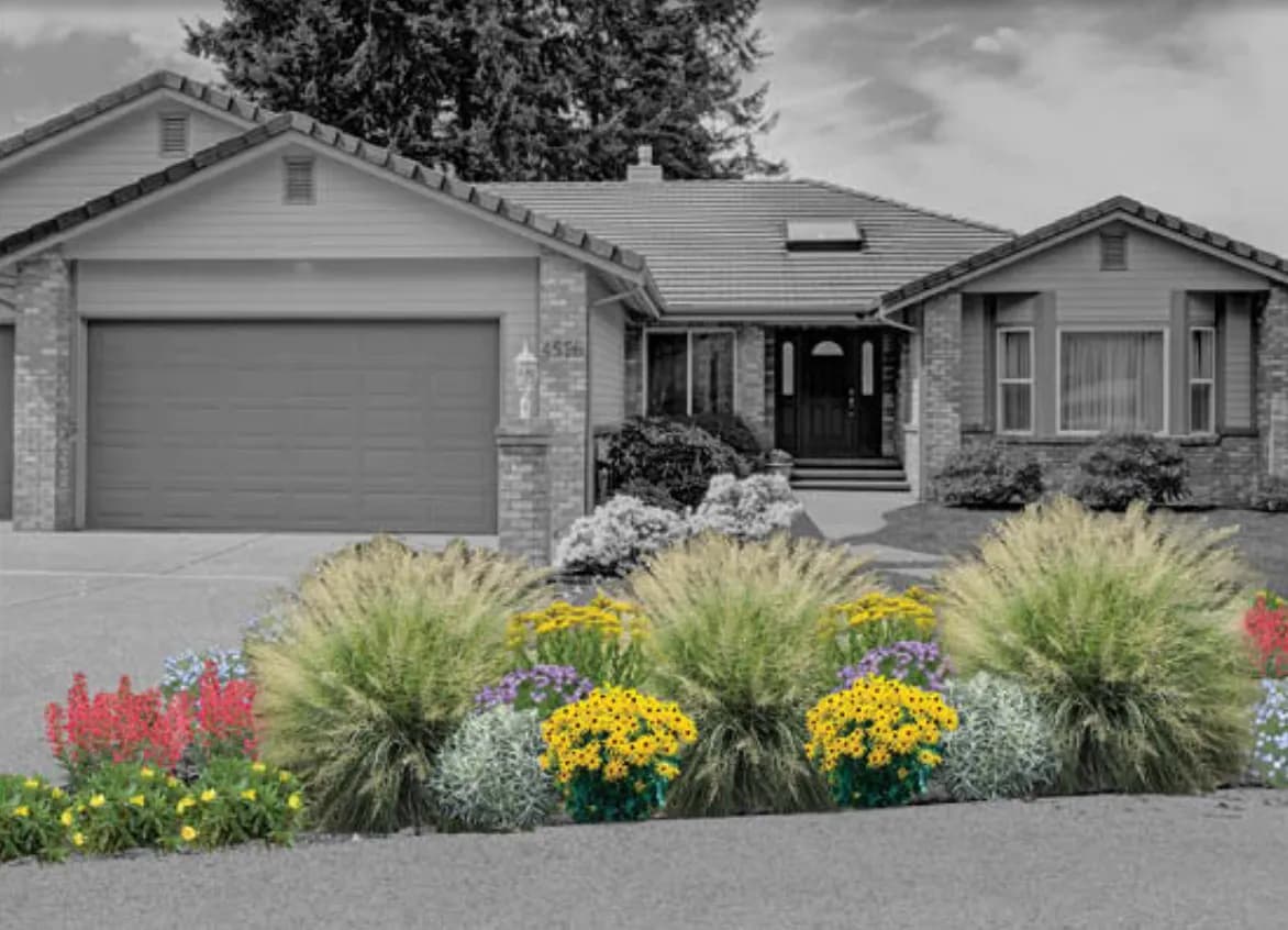 CSU Experts Guide Colorado Homeowners on Saving Water with Smart Irrigation