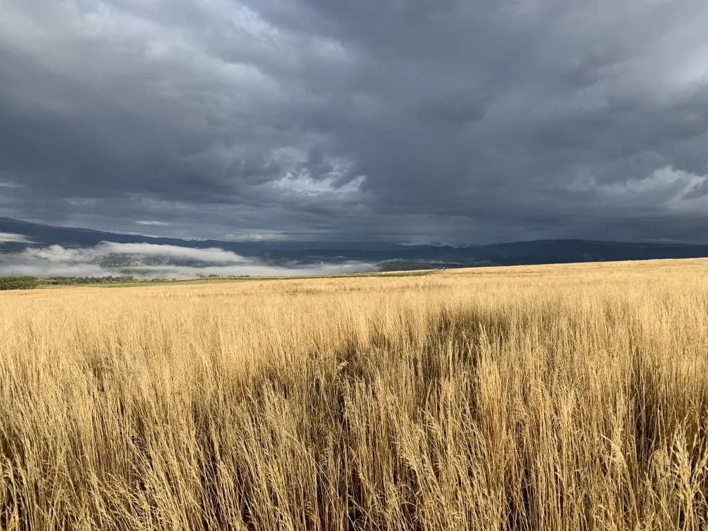 Pitkin County Commissioners Extend Drought Resiliency Study for Roaring Fork Valley