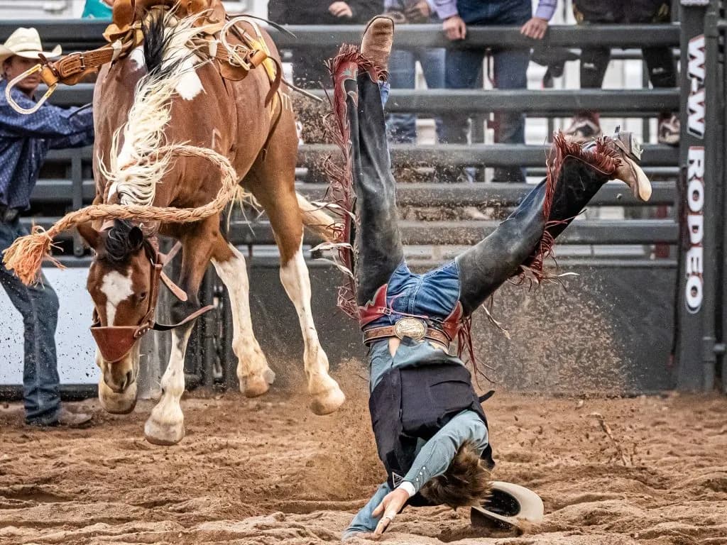 Snowmass Rodeo Celebrates 52nd Season at Town Park