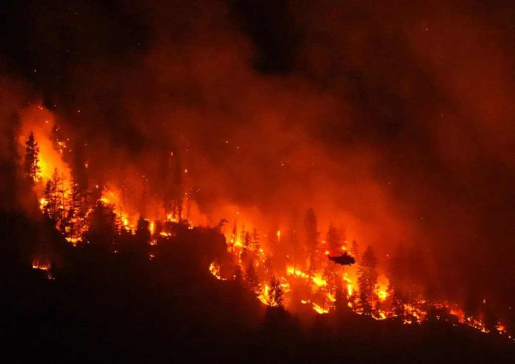 Climate Change Doubled Risk of Canada's Massive Summer Wildfires