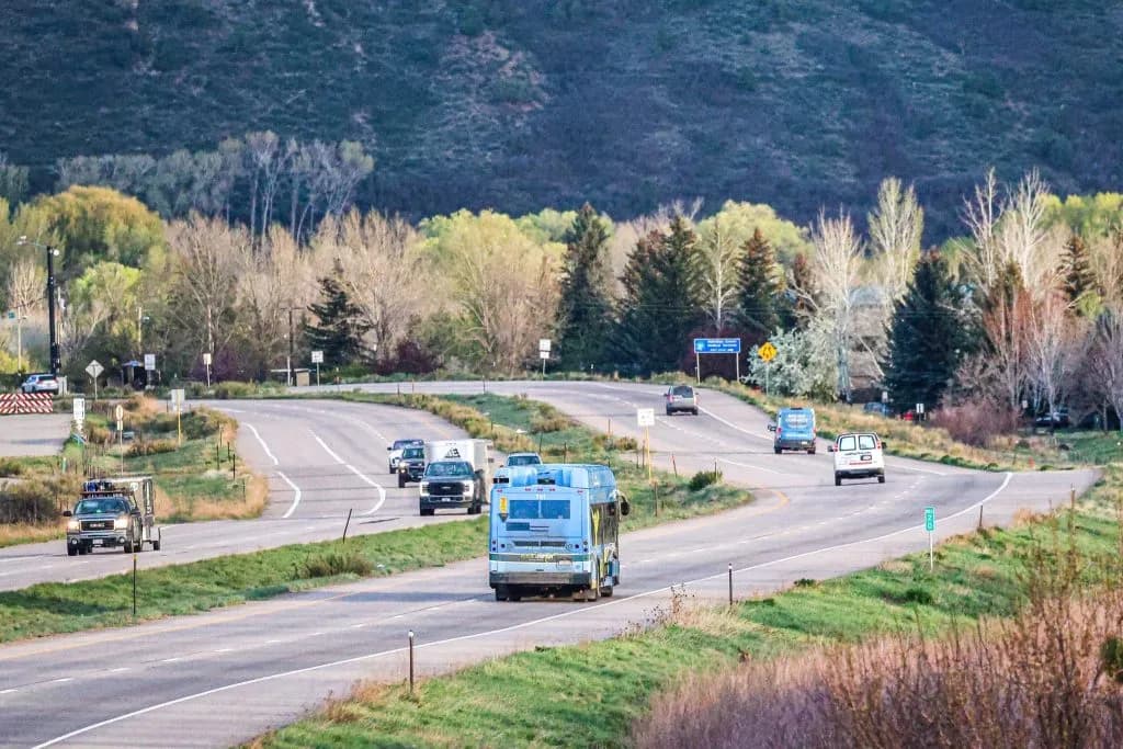 Mistaken Wolf Hunt Beats Highway 82 Traffic Laws for Aspen Page Views