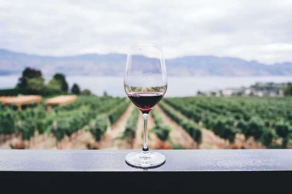 French-American Hybrid Grapes Survive Vail's Brutal Frost