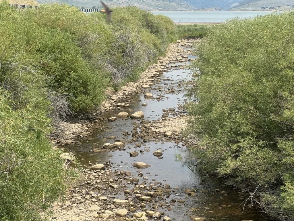 Western Slope Faces Critical Water Scarcity as 140% March Melt Traps Snowpack
