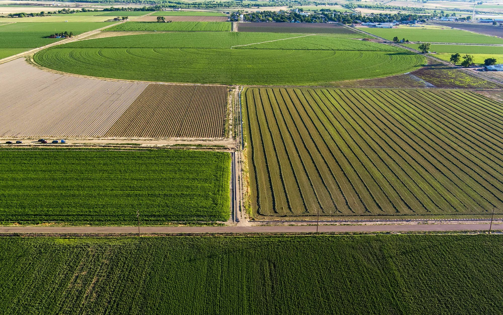 Gov. Polis Signs House Bill 1340 to Mandate Land Revegetation for Water Buyers