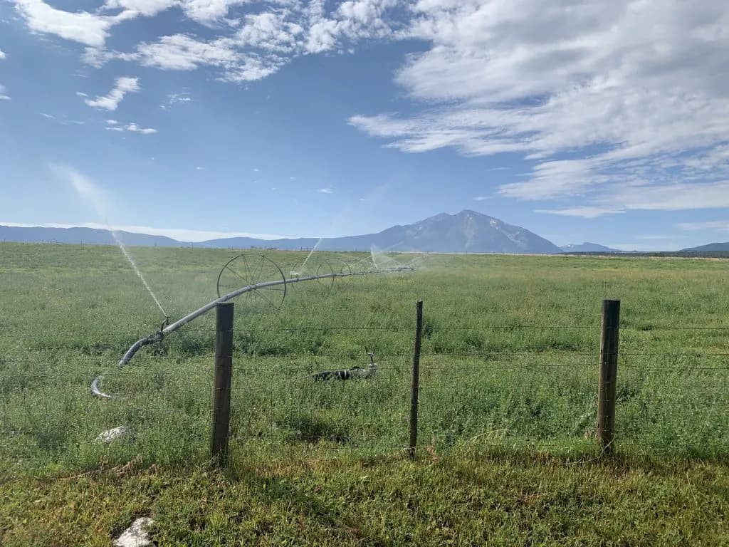 Colorado River Experts Demand Permanent Agricultural Water Cuts