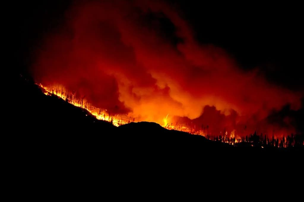 Grand County Wildfire Council Director Shares Lessons from East Troublesome Fire