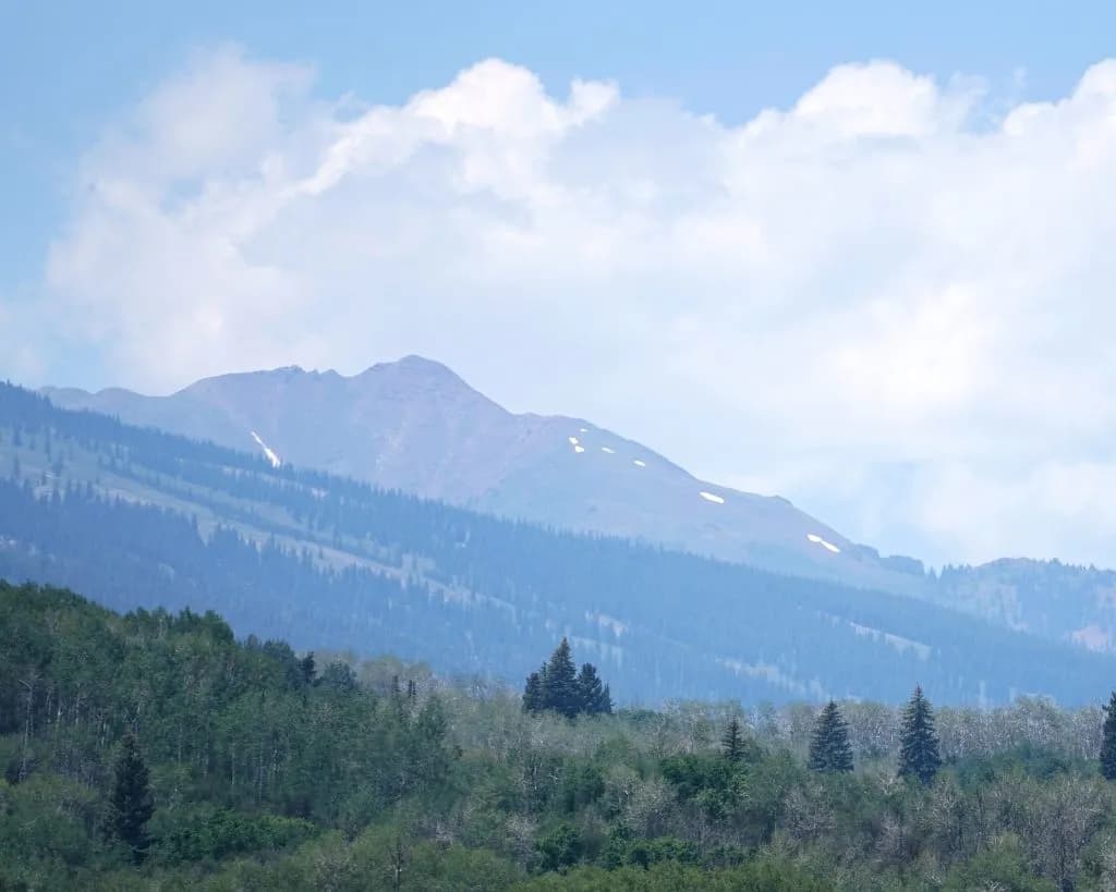 Snowmass Council Pauses Pesticide Spraying Amid State Law Conflict