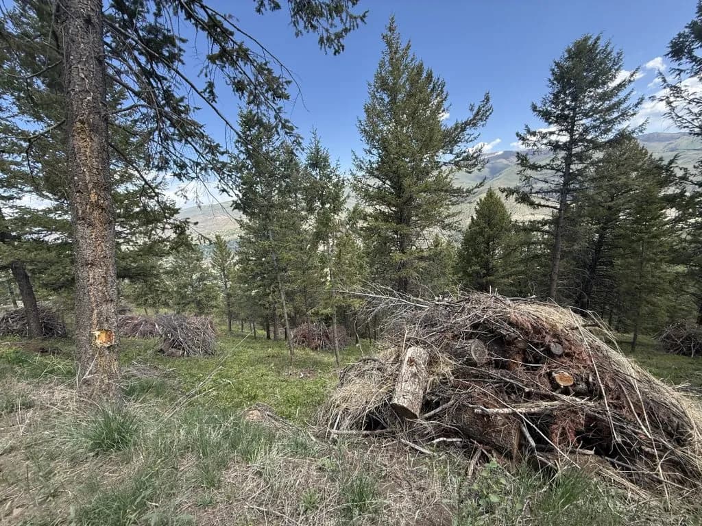 Colorado Voters Decide Fate of $175 Million Wildfire Fund