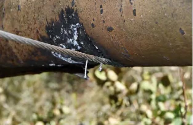Fallen Aspen Tree Triggers 850-Structure Aspen Acres Wildfire
