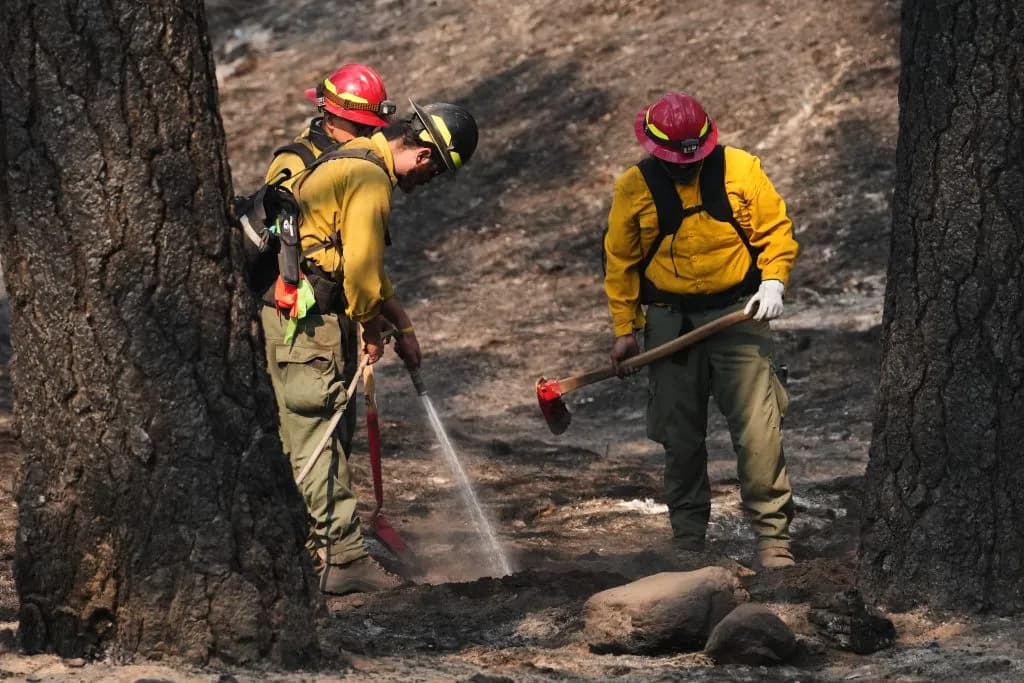 Seattle Officials Warn Against Unapproved Glutathione Treatments for Firefighters