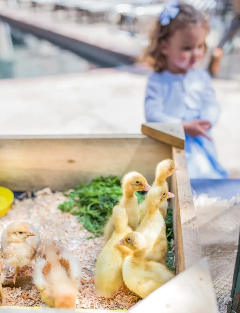 Aspen Easter Weekend Guide: Sunrise Service, Egg Hunts, and Little Nell