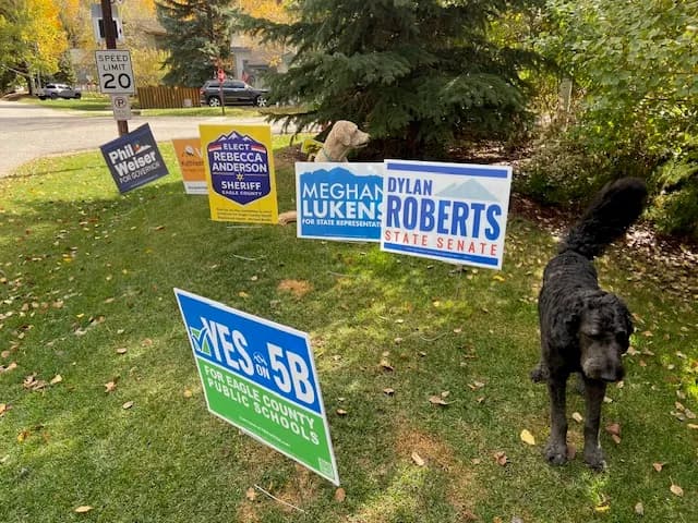 Eagle County Dems Pair Midterm Bus Tour With Dog Costume Contest