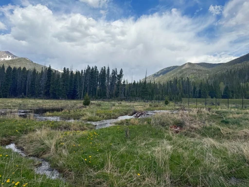 Kawuneeche Valley Restoration Invests $4 Million to Fix Rocky Mountain National Park Wetland