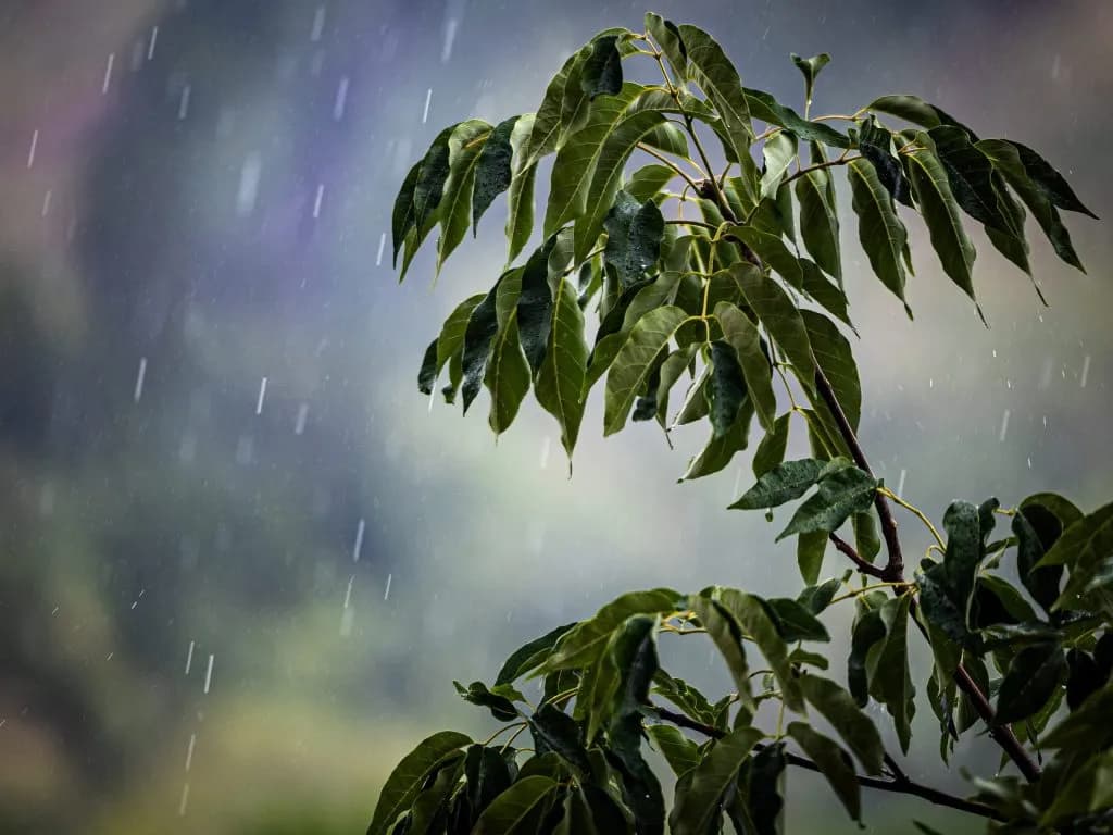 Labor Day Weekend Flash Flood Risk Rises Over Western Colorado