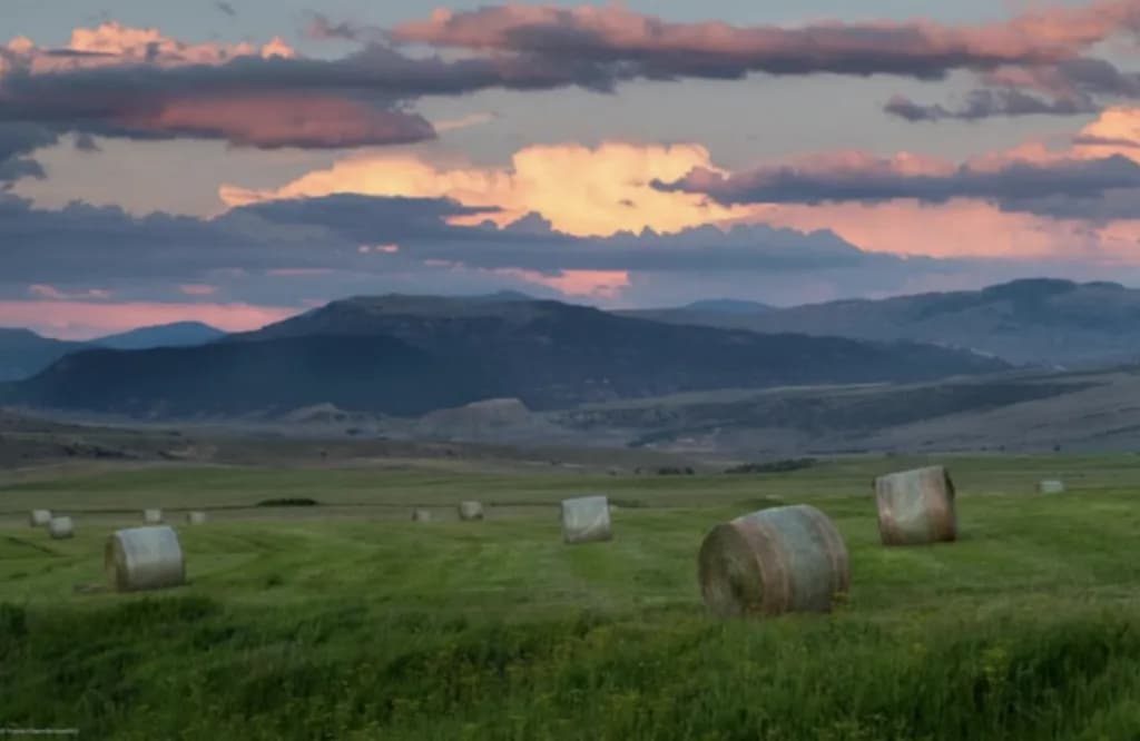 Routt County Allocates $3 Million to Protect Nottingham Ranch