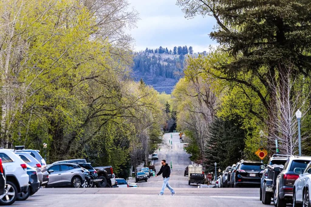 Pitkin County Epidemiologist Clarifies Hantavirus Strain and Cleanup Tips