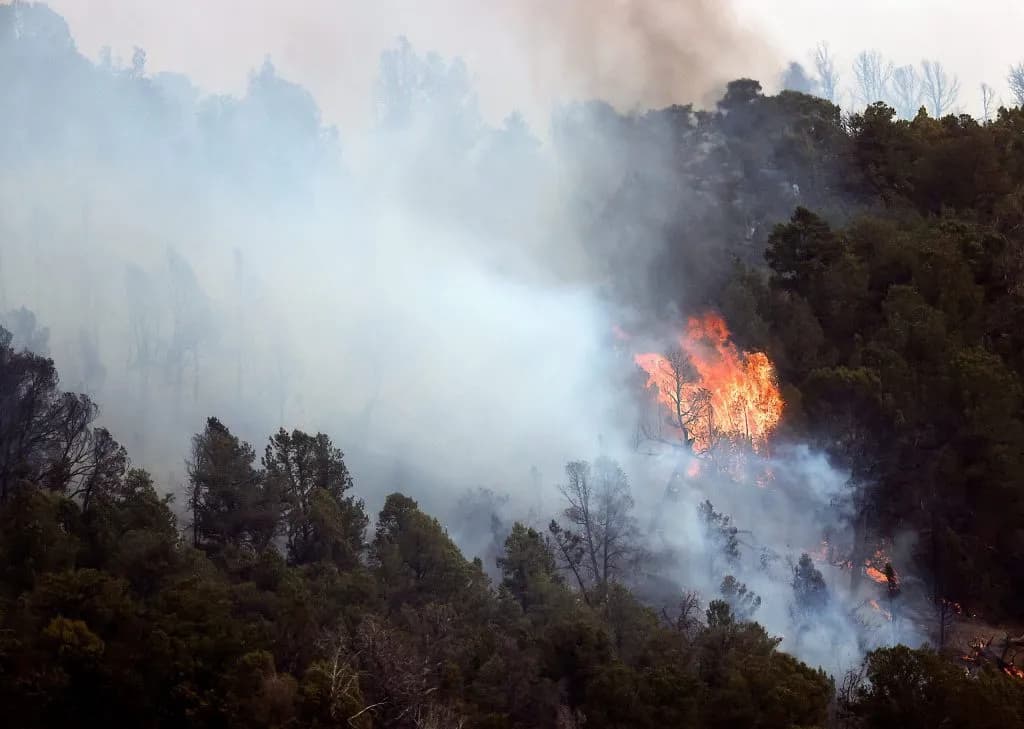 Rifle Hosts Firewise Futures Event to Prepare for Wildfire Season