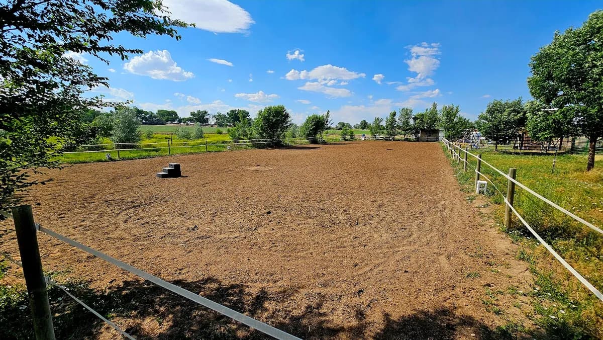 Gallifrey Stables photo 2