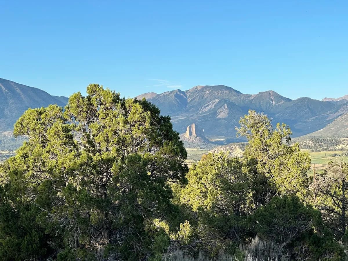 Needlerock Mountain Realty and Land, LLC