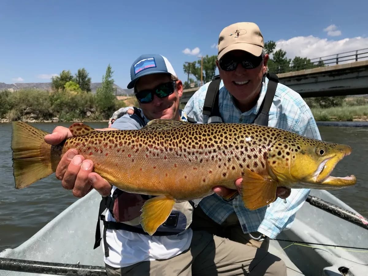 Mike Thomas Flyfishing Guide Service