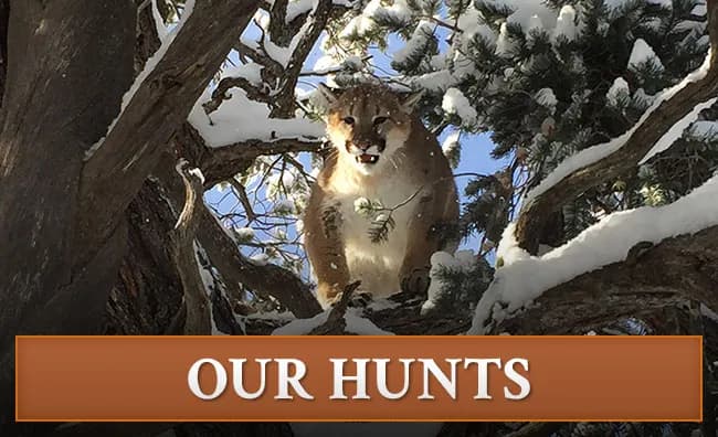 Canyon Rim Outfitters