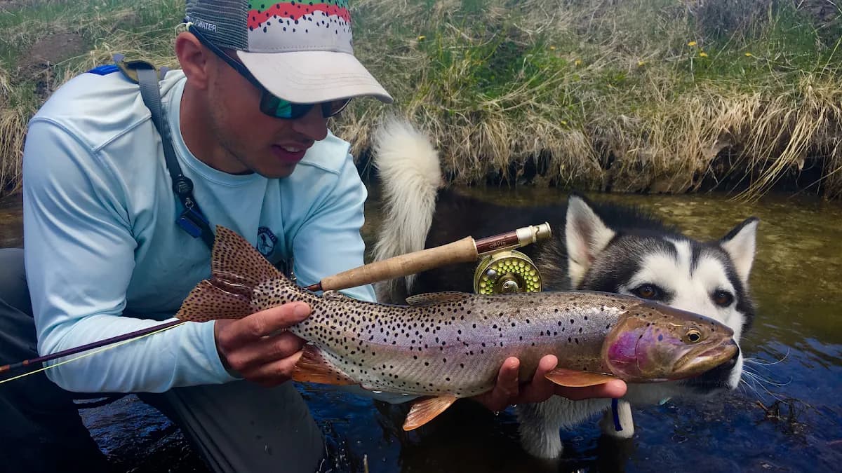 Piedra River Anglers