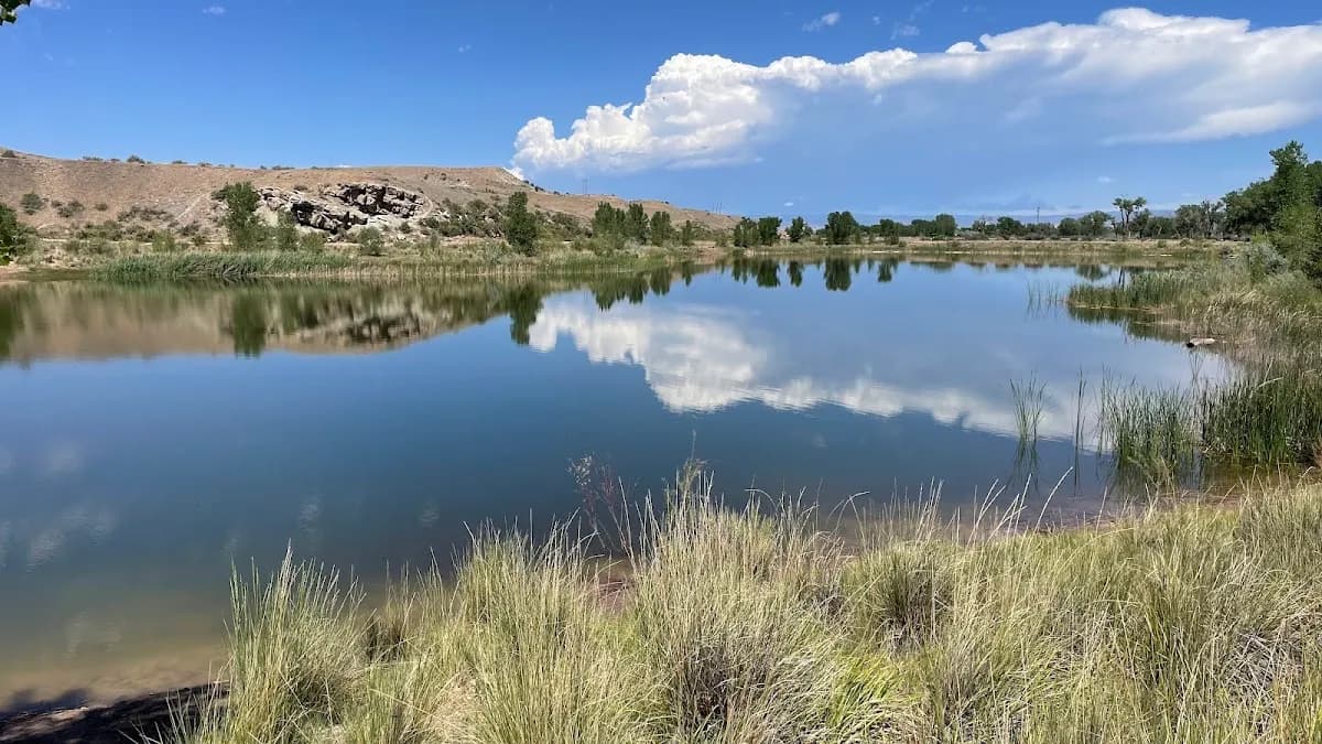Snooks Bottom Open Space