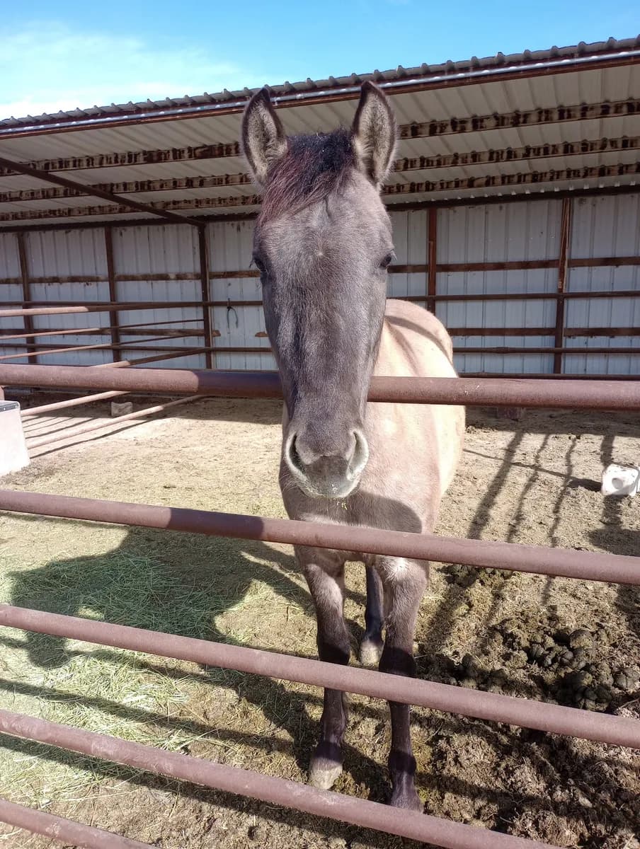 JG Ranch & Events Arena photo 3