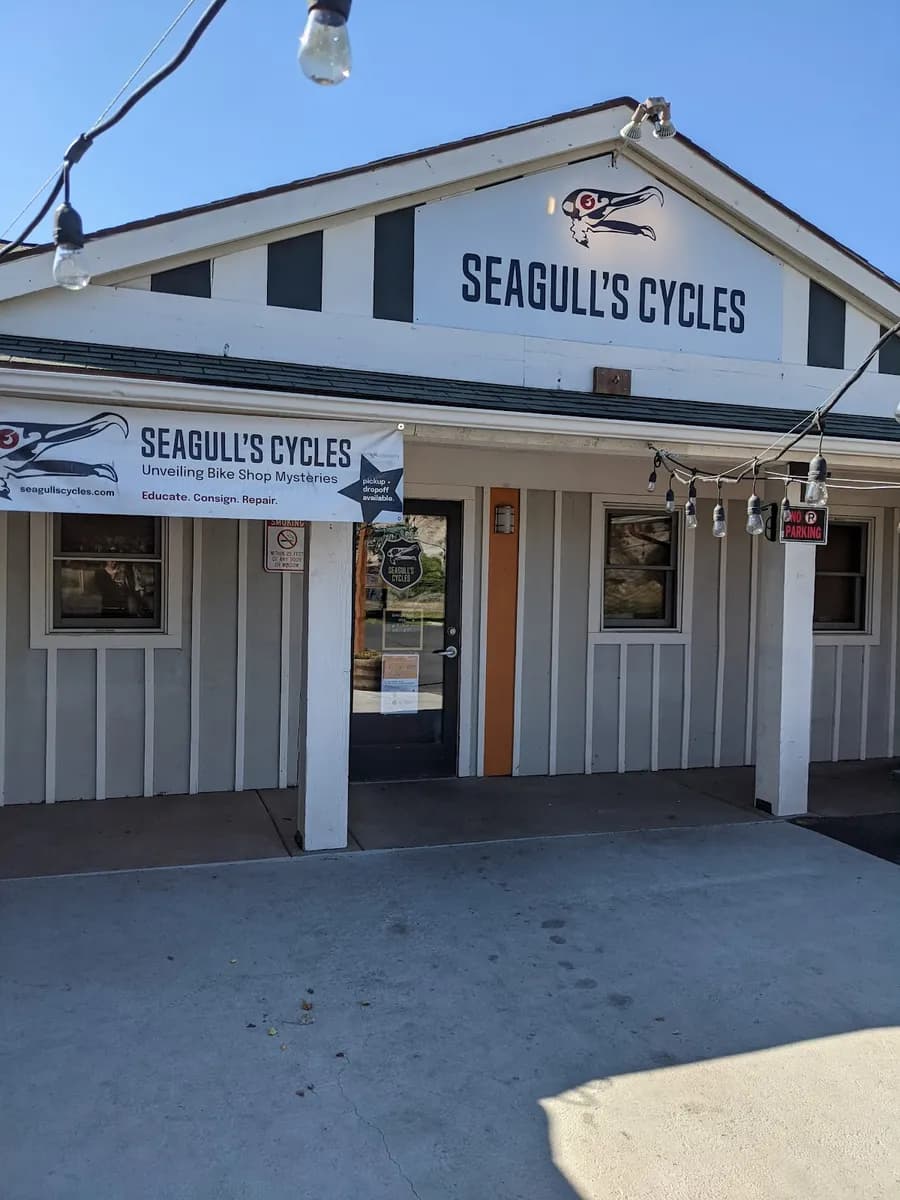 Seagull's Cycles