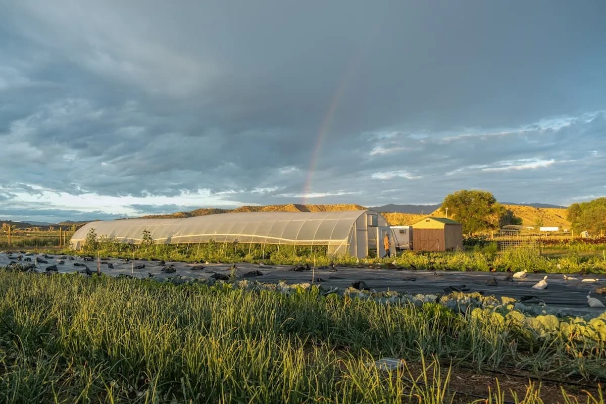 Highwater Farm