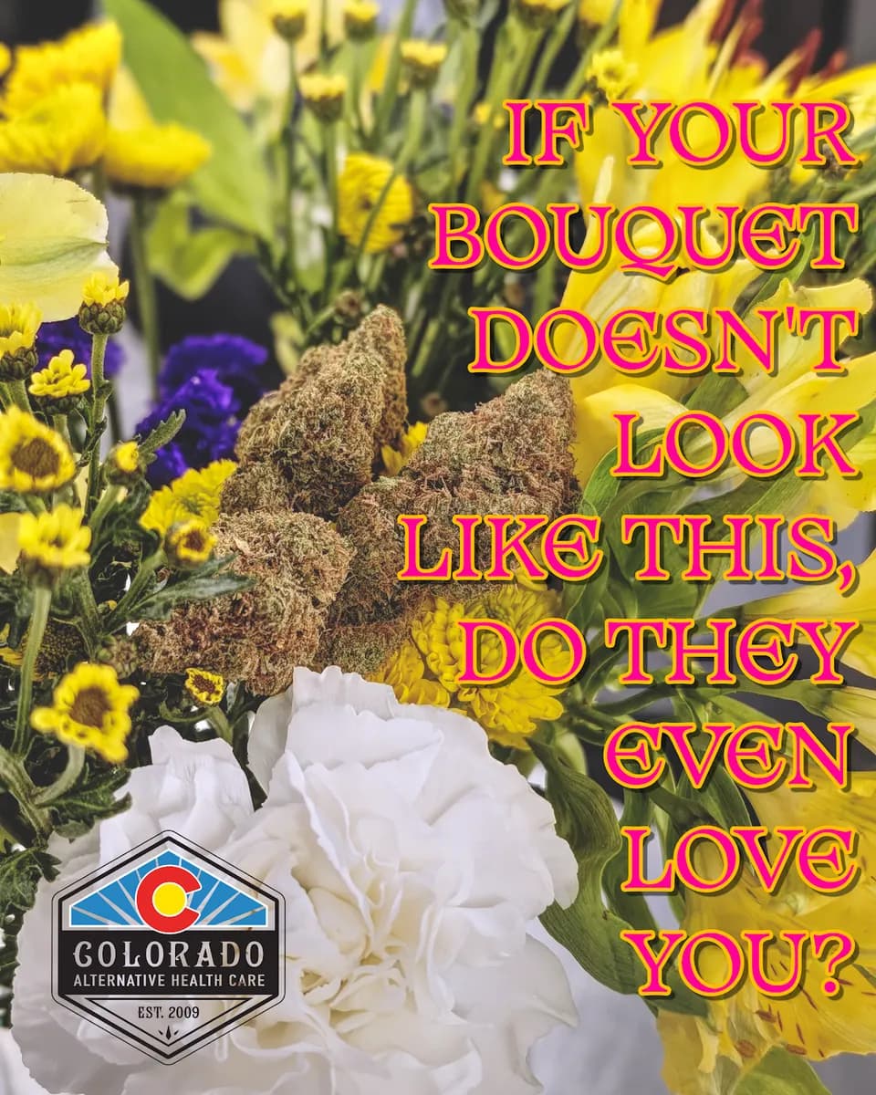 Colorado Alternative Health Care photo 3