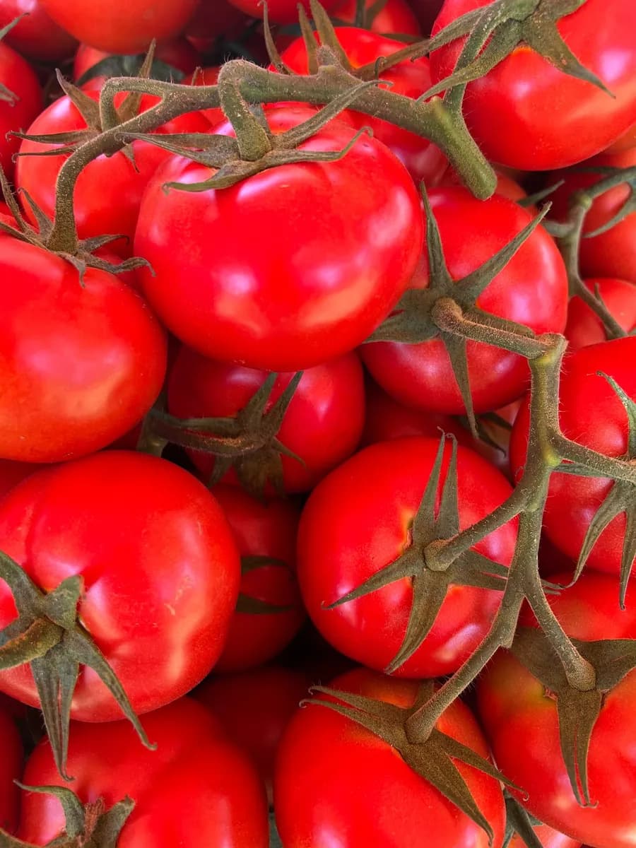 Eagle Farmers Market