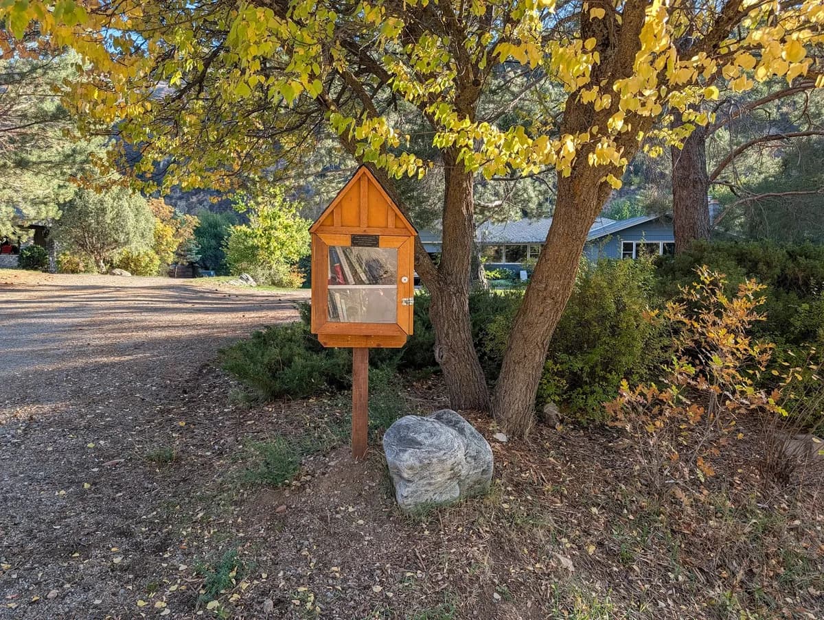 Cobblehurst Library photo 2