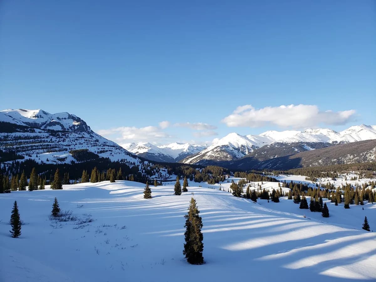 Silverton School District 1