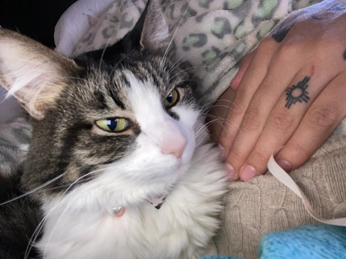 La Plata County Humane Society