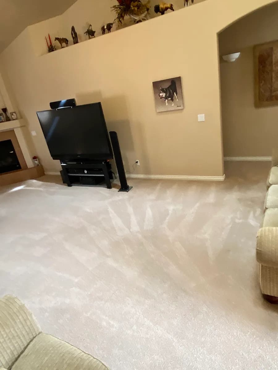 Christian Brothers Carpet & Flood Care photo 2