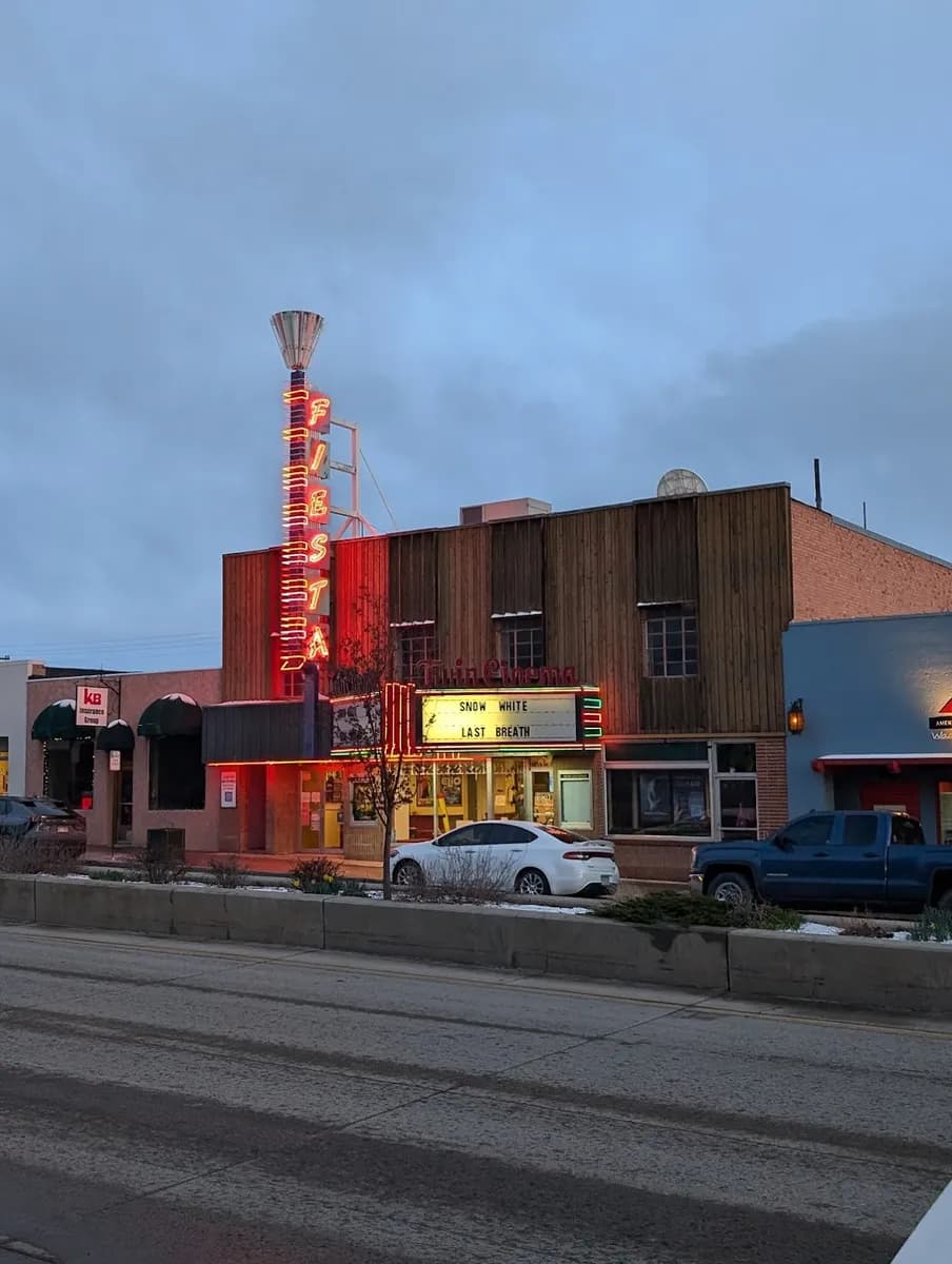 Twin Cinema