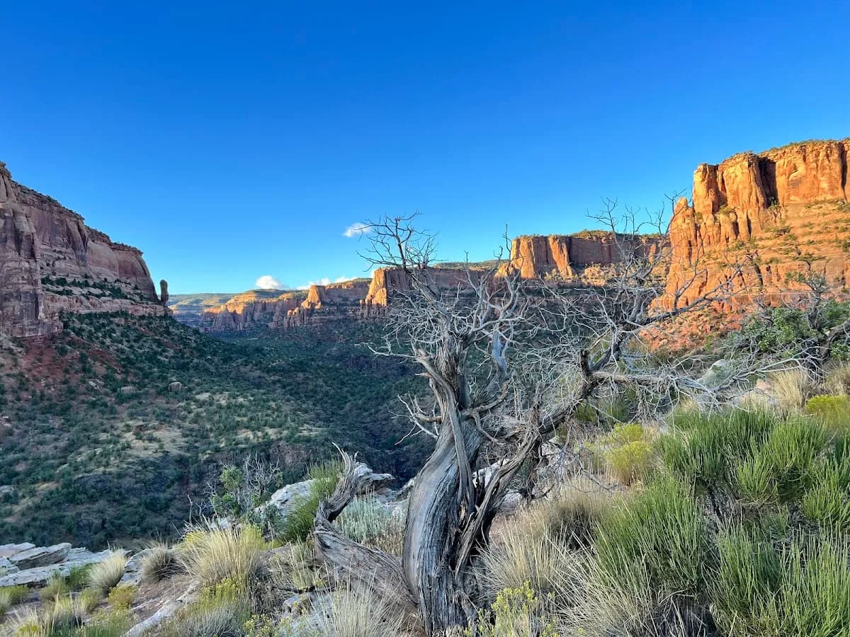Devil's Canyon Trail System
