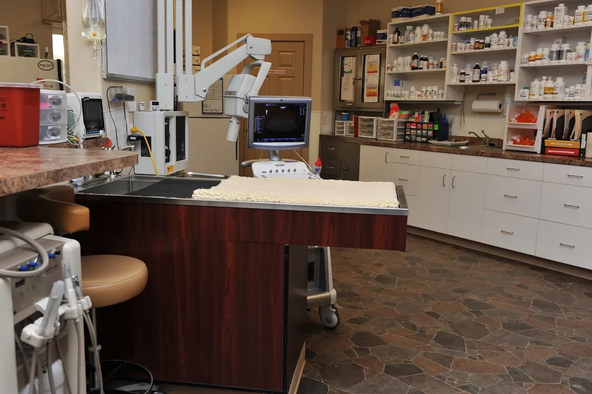 Arrowhead Veterinary Hospital photo 2