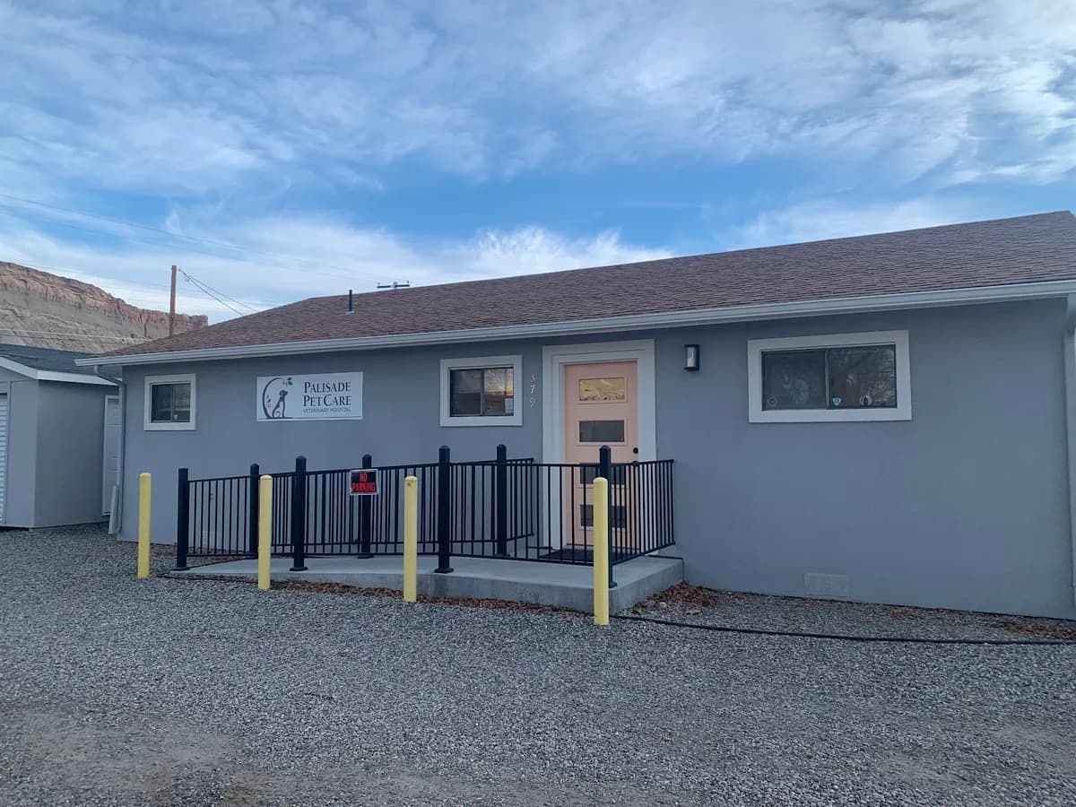 Palisade Pet Care photo 3
