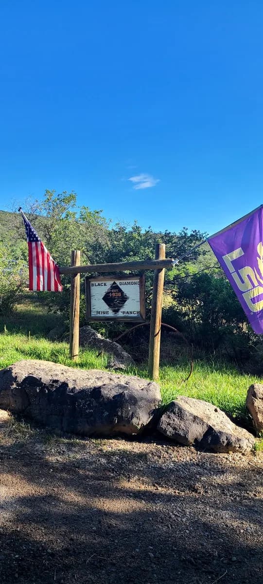 A hidden gem! Cabin nestled in the trees in Glenwood Springs.