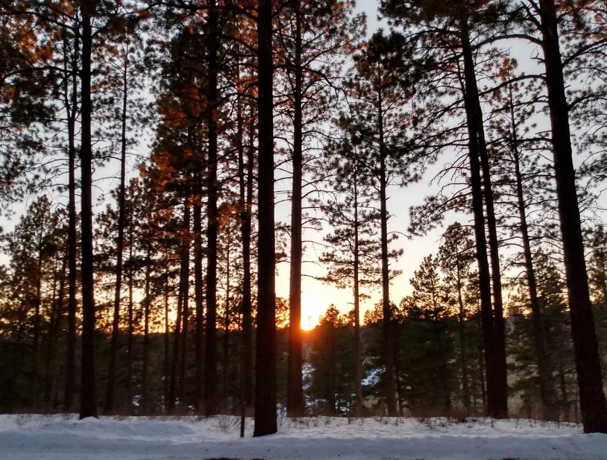 Main Campground