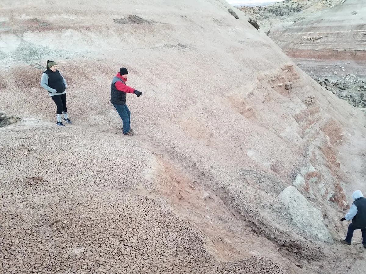 1st Choice Real Estate Co Inc